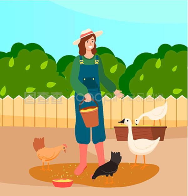女人在农场喂鸡和鹅。女农民工人在给家禽喂食物。戴着农民工作服和帽子的微笑女孩在手里拿着一桶粮食和家禽。女人在农场喂鸡和鹅。女农民工人在给家畜喂食物