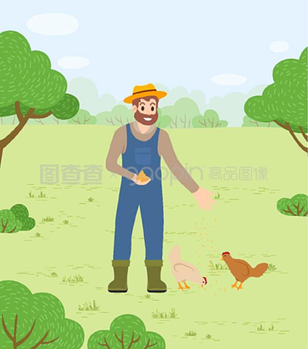 带帽子的农民男子用谷物和小麦种子喂养鸡的乡村景观。照料家鸟,微笑着留胡子的农民工人用食物喂养家禽的概念。带帽子的农民男子用谷物和小麦种子喂养鸡的乡村景观