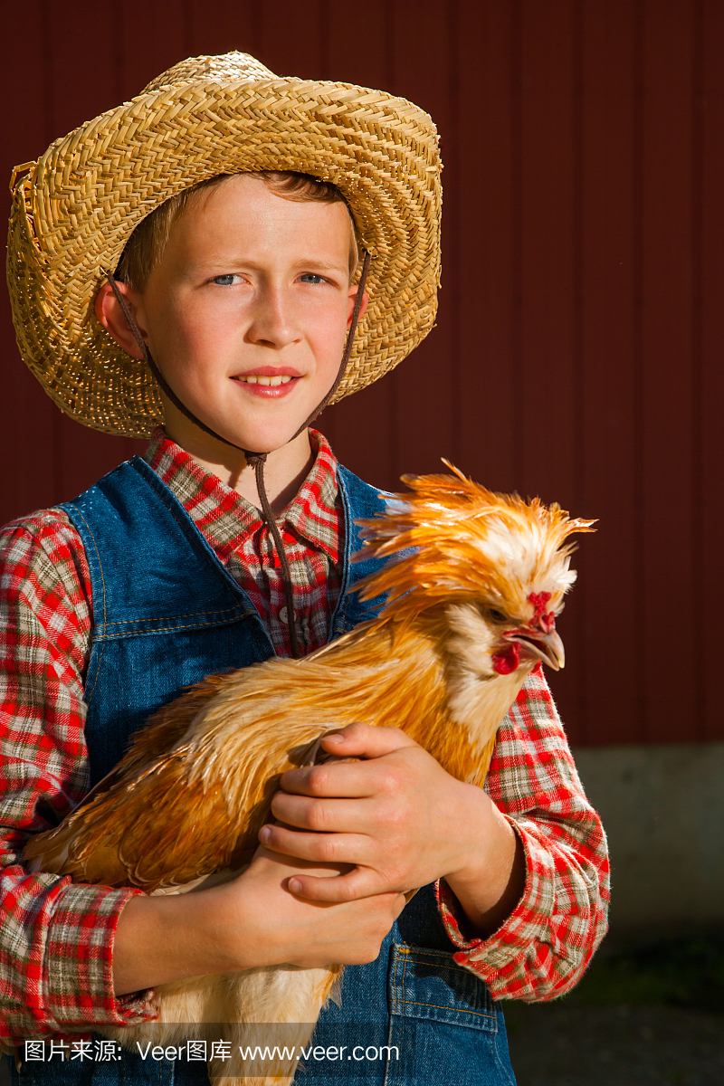 男孩在农场养鸡